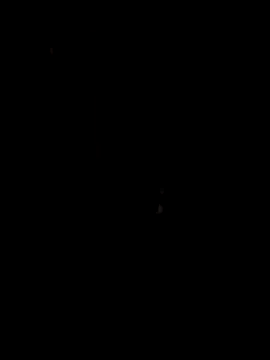papicook online show from May 2026 04:41:02 AM