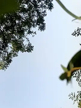 himvilohi08 online show from October 2025 10:26:01 AM