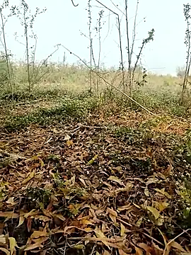 himvilohi08 online show from February 2026 04:07:01 AM