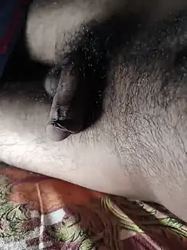 Mr skywalker online show from March 2026 11:32:01 AM