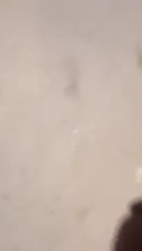 Nick-Ox online show from March 2026 06:47:02 PM