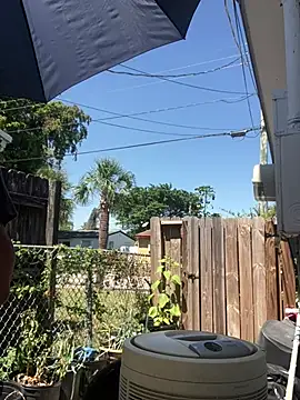 anthonyroth online show from March 2025 05:56:02 PM