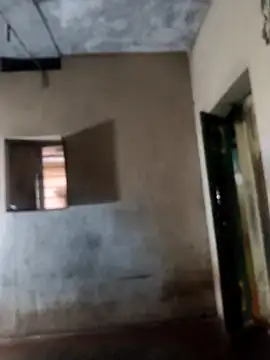 Snapshot of PolarFriend0 chatting on February 2026 12:56:02 PM PolarFriend0 online show from February 2026 12:56:02 PM