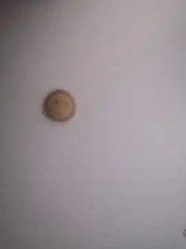 yourflowerpink online show from November 2025 08:28:01 AM