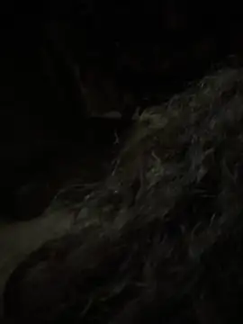 aa520uv online show from February 2026 12:43:02 PM