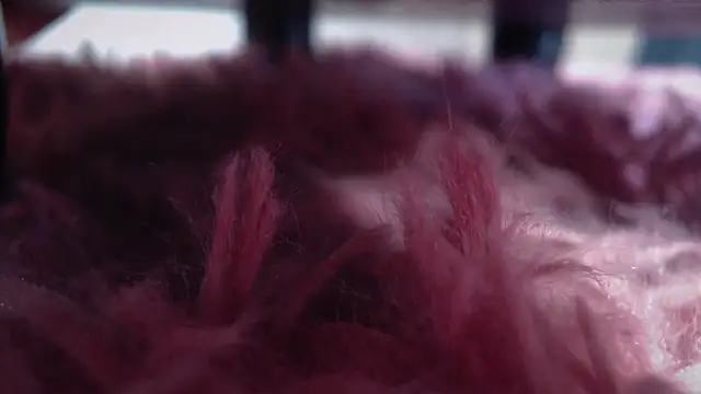 Taylor dolll online show from October 2025 02:12:02 PM