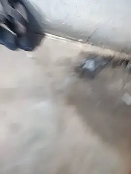 Snapshot of tarabhai11 chatting on November 2025 06:37:02 AM tarabhai11 online show from November 2025 06:37:02 AM