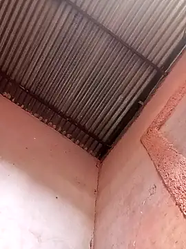 317894 online show from November 2025 01:54:02 PM