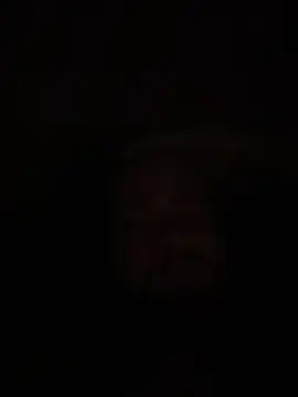 Snapshot of Bear2323 chatting on May 2026 04:07:01 AM Bear2323 online show from May 2026 04:07:01 AM