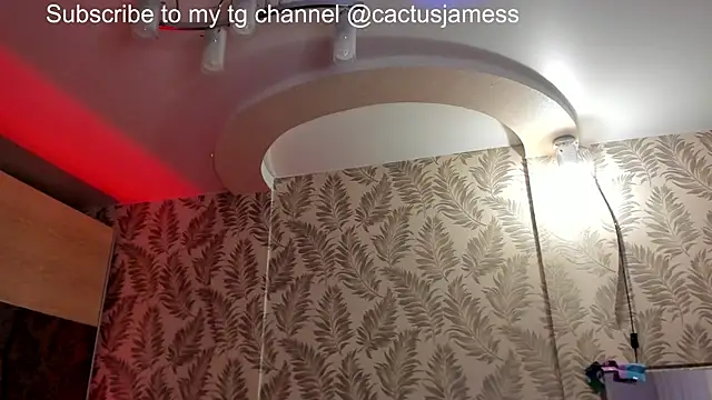 Cactus  James online show from December 2025 02:57:02 PM