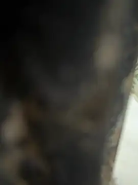 dilu98 online show from February 2026 02:01:02 AM