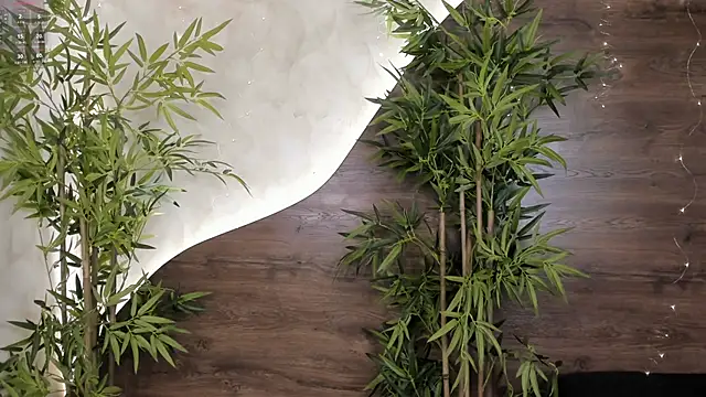 mia lacy  online show from November 2025 07:57:01 PM