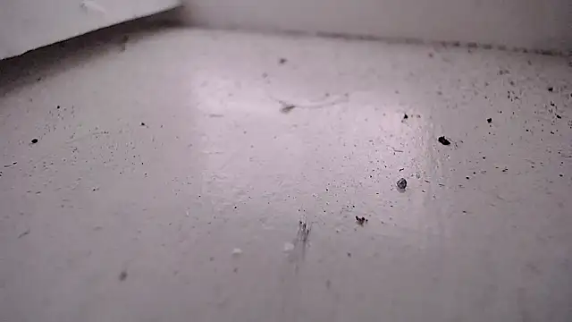 Valensx oficiall online show from April 2026 07:31:02 PM