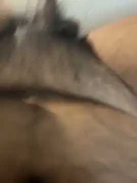 shady s online show from March 2026 04:37:01 PM