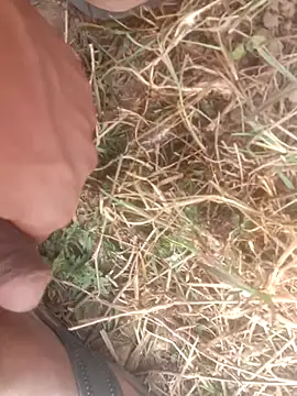 perplexedsoul online show from December 2025 09:14:01 AM