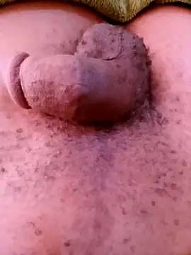 horny1131 online show from April 2026 07:45:01 AM