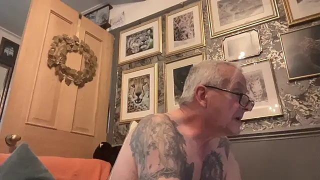 poggles online show from November 2025 12:41:02 PM