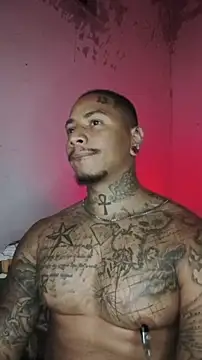 David tatto1 online show from February 2026 04:06:02 AM