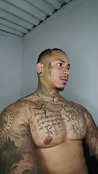 David tatto1 online show from June 2026 03:53:02 AM