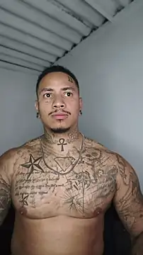 David tatto1 online show from July 2026 02:03:01 AM