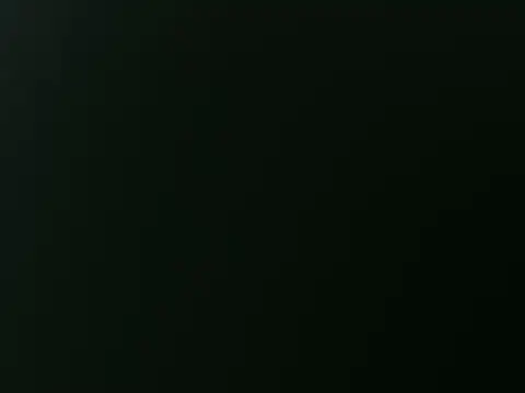 elmercader2025 online show from December 2025 04:11:02 AM