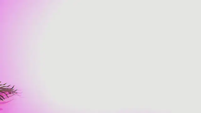 Lana ortega online show from July 2026 04:52:02 AM