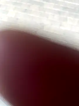 Snapshot of kamo012000 chatting on October 2025 02:37:02 PM kamo012000 online show from October 2025 02:37:02 PM