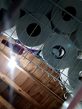 Snapshot of Single_lagunero chatting on March 2026 06:34:02 PM Single lagunero online show from March 2026 06:34:02 PM