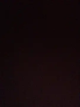 MusaAyla online show from April 2026 04:04:02 PM