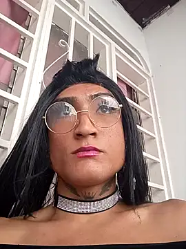 translatina777 online show from February 2026 12:54:01 PM