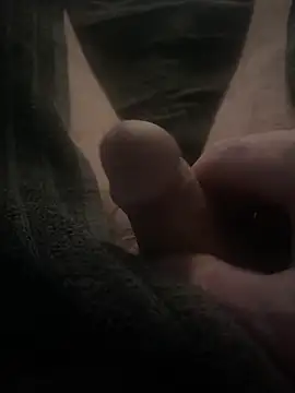 BobKat online show from February 2026 08:34:02 PM