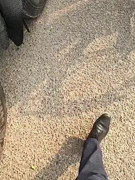 Snapshot of mysticeyes_backup chatting on November 2025 03:37:02 AM mysticeyes backup online show from November 2025 03:37:02 AM