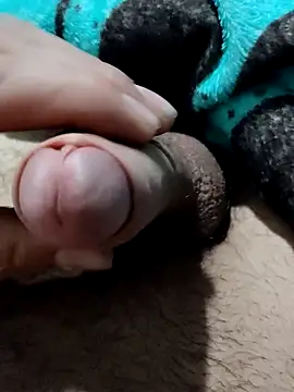 car9807 online show from March 2026 09:49:02 AM