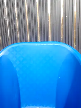 Snapshot of AnkitaDevi chatting on October 2025 05:41:02 AM AnkitaDevi online show from October 2025 05:41:02 AM