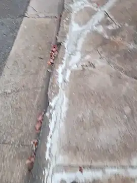 dickcurved38 online show from February 2026 04:53:02 AM