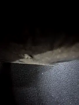 Snapshot of odilicia chatting on December 2025 11:04:02 AM odilicia online show from December 2025 11:04:02 AM