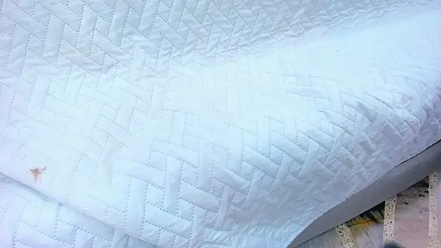 crystal sm online show from February 2026 03:13:01 AM