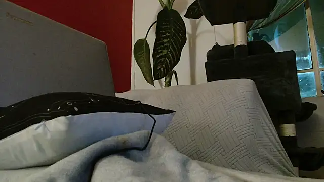 Tulindabonny online show from March 2026 05:04:02 AM