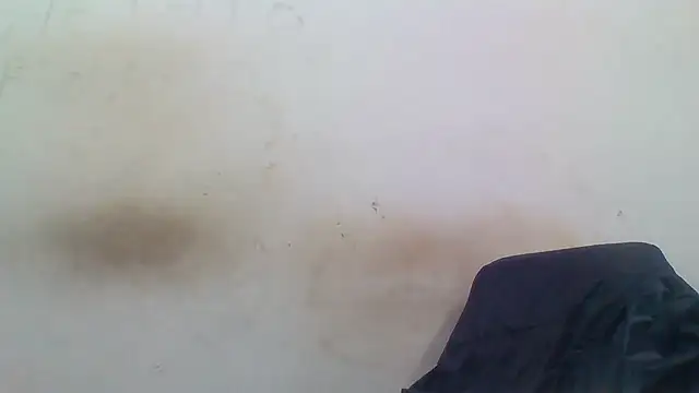 sasatimido online show from December 2025 01:31:02 PM