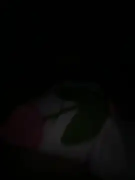 tarantan1993 online show from March 2026 11:01:01 PM