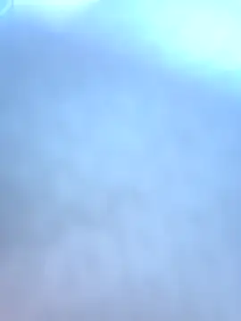 mojaymort online show from November 2025 12:38:02 PM