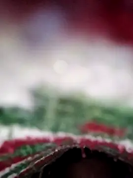 Snapshot of ParousFlow chatting on February 2026 11:28:02 AM ParousFlow online show from February 2026 11:28:02 AM