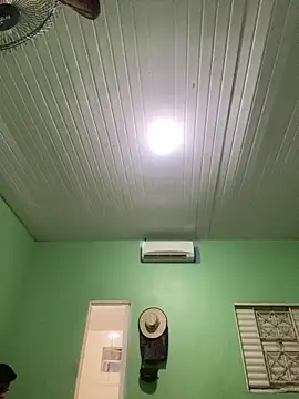 wl20002 online show from February 2026 02:04:01 AM