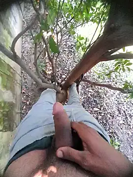 Desi Horny Boys online show from November 2025 05:45:02 AM