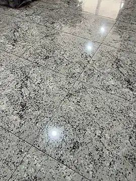 japa-16cm online show from September 2025 12:10:02 PM