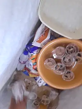 GRUESO-CURVO online show from April 2026 02:12:01 PM