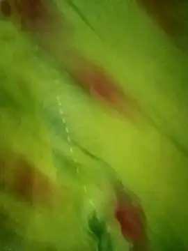 Shiya janu online show from October 2025 11:14:02 AM