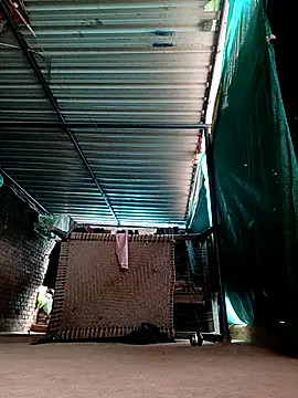 Shiya janu online show from February 2026 06:40:02 AM