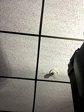 MR MUSCLE online show from September 2025 11:22:02 AM