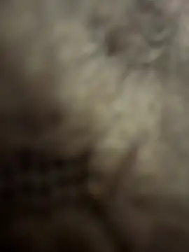 anonimgirl18old online show from February 2026 08:58:01 PM